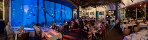 Group Dining at Dundees at Cairns Aquarium