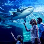 Cairns Aquarium by Twilight