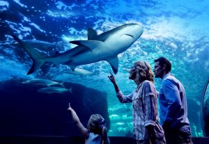 Cairns Aquarium by Twilight