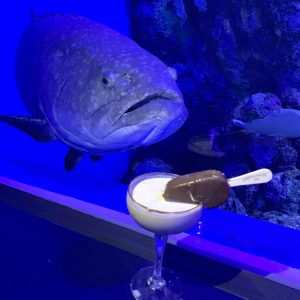 Dundees Magnum Martini with Fish