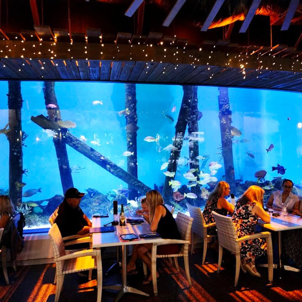 An Underwater Dining